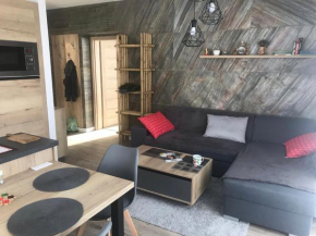 Apartmány Vila Vlasta Vysoké Tatry